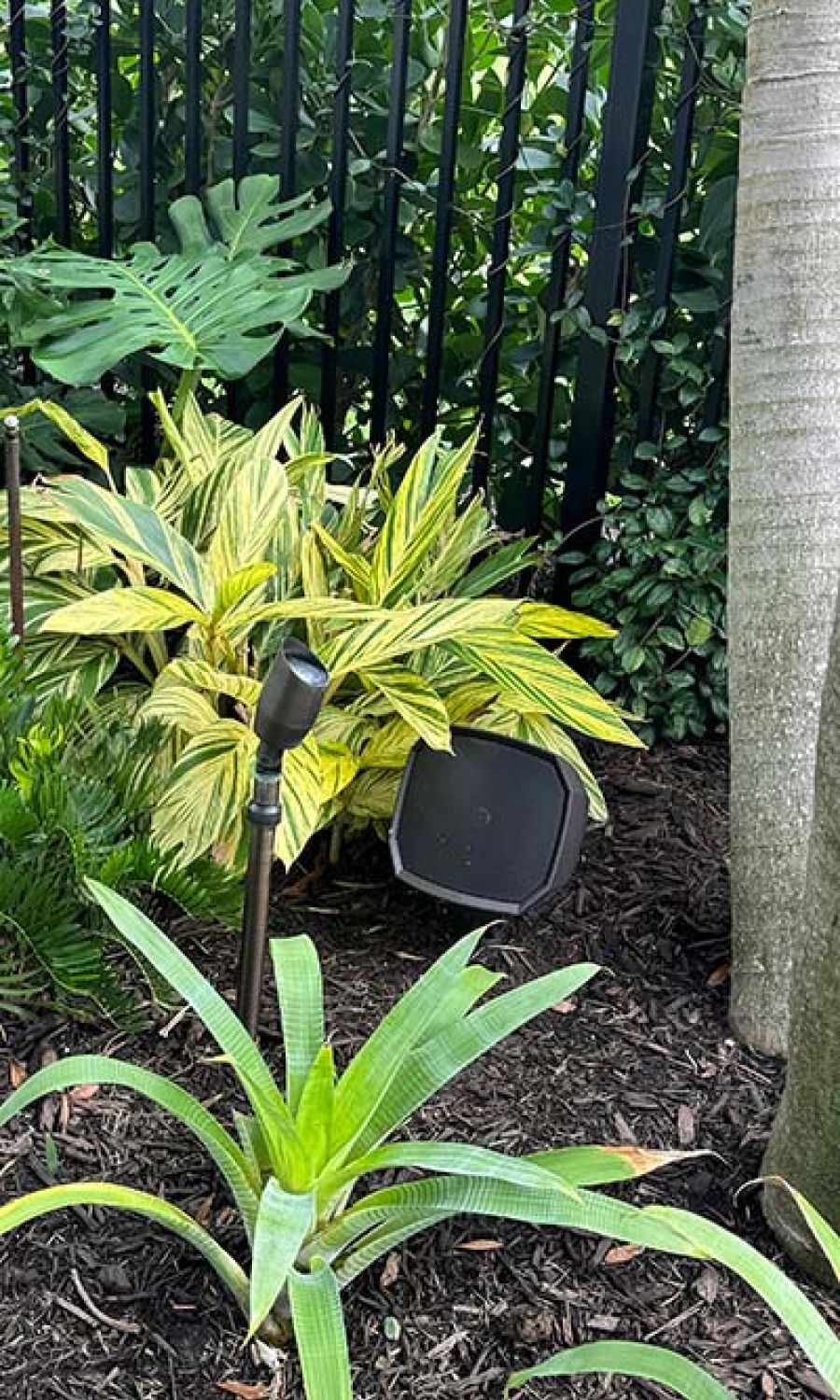 close up of outdoor speakers and lights